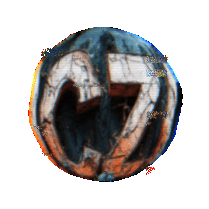 PaPa®